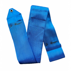 Ribbon - BLUE RIBBON